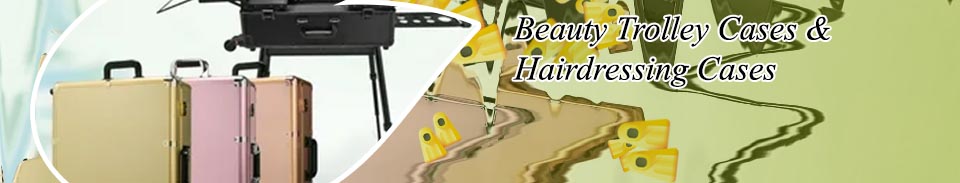 Beauty trolly case
