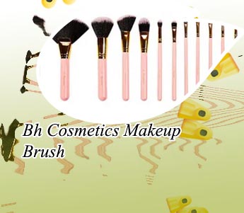 Bh cosmetics brush set