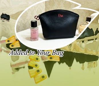 Dior cosmetic bag