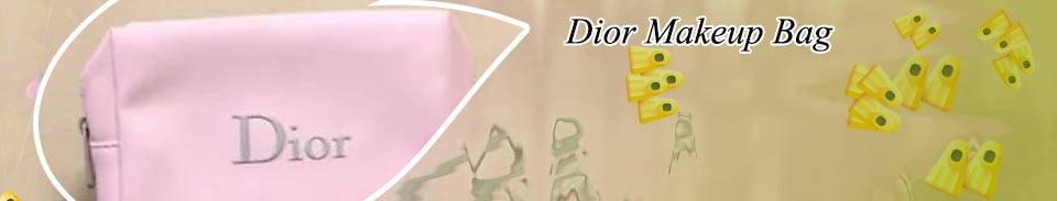Dior pouch makeup